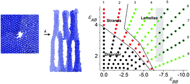 Graphical abstract: Self-assembly in densely grafted macromolecules with amphiphilic monomer units: diagram of states