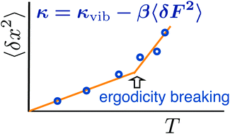 Graphical abstract: Ergodicity breaking of iron displacement in heme proteins