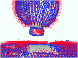 Graphical abstract: Measurement of long range attractive forces between hydrophobic surfaces produced by vapor phase adsorption of palmitic acid