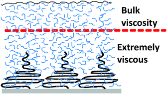 Graphical abstract: Altering surface fluctuations by blending tethered and untethered chains