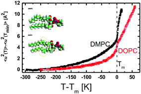 Graphical abstract: Relaxation dynamics of saturated and unsaturated oriented lipid bilayers