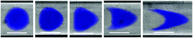 Graphical abstract: Elastic particle deformation in rectangular channel flow as a measure of particle stiffness