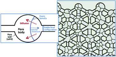 Graphical abstract: Foam flow in a model porous medium: I. The effect of foam coarsening