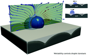 Graphical abstract: Wettability control of droplet durotaxis