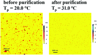 Graphical abstract: Nanoparticle separation based on size-dependent aggregation of nanoparticles due to the critical Casimir effect