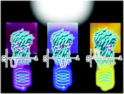 Graphical abstract: Left- and right-circularly polarized light-sensing based on colored and mechano-responsive chiral nematic liquid crystals