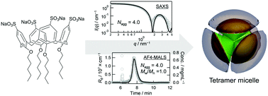 Graphical abstract: A tetramer micelle: the smallest aggregation number corresponding to the vertex number of regular polyhedra in platonic micelles