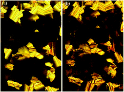 Graphical abstract: Fluorescent and charge transport properties of columnar phases made of mono and bi-phenazine derivatives