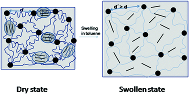 Graphical abstract: Anomalous toluene transport in model segmented polyurethane–urea/clay nanocomposites