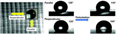 Graphical abstract: Small degree of anisotropic wetting on self-similar hierarchical wrinkled surfaces