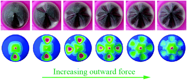 Graphical abstract: Wrinkling patterns in soft shells