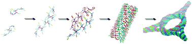 Graphical abstract: Self-assembly of bis-salphen compounds: from semiflexible chains to webs of nanorings