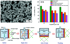 Graphical abstract: A fabrication method of gold coated colloidosomes and their application as targeted drug carriers