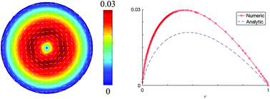 Graphical abstract: A connection between living liquid crystals and electrokinetic phenomena in nematic fluids