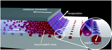 Graphical abstract: Capillary assembly as a tool for the heterogeneous integration of micro- and nanoscale objects