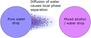 Graphical abstract: Compositional ripening of particle-stabilized drops in a three-liquid system