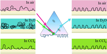 Graphical abstract: Observing different dynamic behaviors of weakly and strongly adsorbed polystyrene chains at interfaces