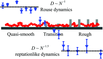 Graphical abstract: Effects of surface roughness on the self-diffusion dynamics of a single polymer