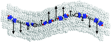 Graphical abstract: Twist-bend nematic phase in biphenylethane-based copolyethers