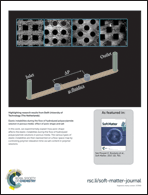 Graphical abstract: Back cover