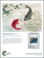 Graphical abstract: Back cover