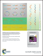 Graphical abstract: Back cover