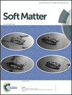 Graphical abstract: Inside front cover