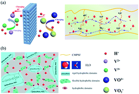 Graphical abstract: Advanced charged porous membranes with flexible internal crosslinking structures for vanadium flow batteries