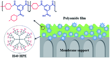 Graphical abstract: High permselectivity hyperbranched polyester/polyamide ultrathin films with nanoscale heterogeneity