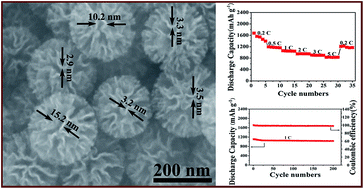 Graphical abstract: Controllable synthesis of highly uniform flower-like hierarchical carbon nanospheres and their application in high performance lithium–sulfur batteries