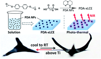 Graphical abstract: Polydopamine nanoparticles doped in liquid crystal elastomers for producing dynamic 3D structures