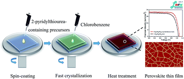 Graphical abstract: Tuning the crystal growth of perovskite thin-films by adding the 2-pyridylthiourea additive for highly efficient and stable solar cells prepared in ambient air