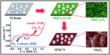 Graphical abstract: MnO2/MnCo2O4/Ni heterostructure with quadruple hierarchy: a bifunctional electrode architecture for overall urea oxidation