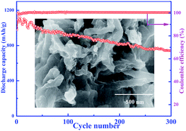 Graphical abstract: Hydrothermal preparation of nitrogen, boron co-doped curved graphene nanoribbons with high dopant amounts for high-performance lithium sulfur battery cathodes
