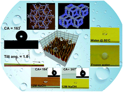 Graphical abstract: Super-hydrophobic covalent organic frameworks for chemical resistant coatings and hydrophobic paper and textile composites