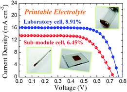 Graphical abstract: High-performance printable electrolytes for dye-sensitized solar cells