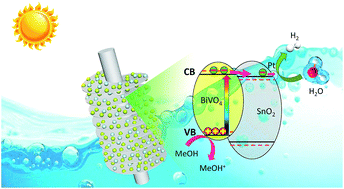 Graphical abstract: Efficient hydrogen evolution under visible light irradiation over BiVO4 quantum dot decorated screw-like SnO2 nanostructures