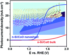 Graphical abstract: Wafer-scale synthesis of ultrathin CoO nanosheets with enhanced electrochemical catalytic properties