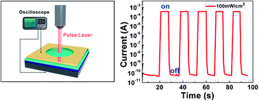 Graphical abstract: Self-driven, broadband and ultrafast photovoltaic detectors based on topological crystalline insulator SnTe/Si heterostructures