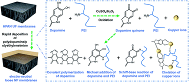 Graphical abstract: High flux electroneutral loose nanofiltration membranes based on rapid deposition of polydopamine/polyethyleneimine