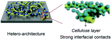 Graphical abstract: Use of regenerated cellulose to direct hetero-assembly of nanoparticles with carbon nanotubes for producing flexible battery anodes