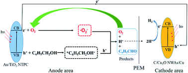 Graphical abstract: Highly selective aerobic oxidation of biomass alcohol to benzaldehyde by an in situ doped Au/TiO2 nanotube photonic crystal photoanode for simultaneous hydrogen production promotion