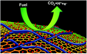 Graphical abstract: One-pot synthesis of highly efficient graphene based three-dimensional hybrids as catalyst supporting materials for electro-oxidation of liquid fuels