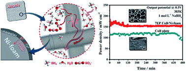 Graphical abstract: Study of the electrooxidation of borohydride on a directly formed CoB/Ni-foam electrode and its application in membraneless direct borohydride fuel cells