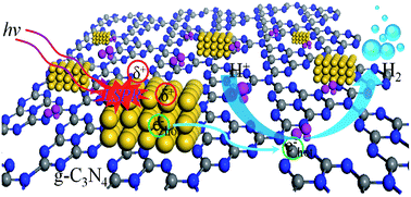 Graphical abstract: Synergetic enhancement of plasmonic hot-electron injection in Au cluster-nanoparticle/C3N4 for photocatalytic hydrogen evolution