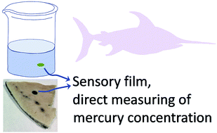 Graphical abstract: Direct visual detection and quantification of mercury in fresh fish meat using facilely prepared polymeric sensory labels