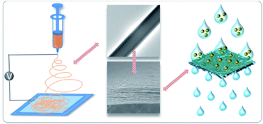 Graphical abstract: A core–shell fiber-constructed pH-responsive nanofibrous hydrogel membrane for efficient oil/water separation