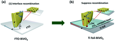 Graphical abstract: In situ growth of a TiO2 layer on a flexible Ti substrate targeting the interface recombination issue of BiVO4 photoanodes for efficient solar water splitting