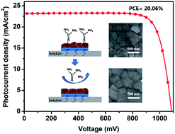 Graphical abstract: Investigation on the role of Lewis bases in the ripening process of perovskite films for highly efficient perovskite solar cells