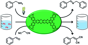 Graphical abstract: A nanoporous graphene analog for superfast heavy metal removal and continuous-flow visible-light photoredox catalysis